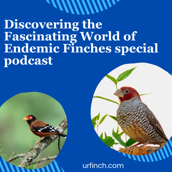 Discovering the Fascinating World of Endemic Finches