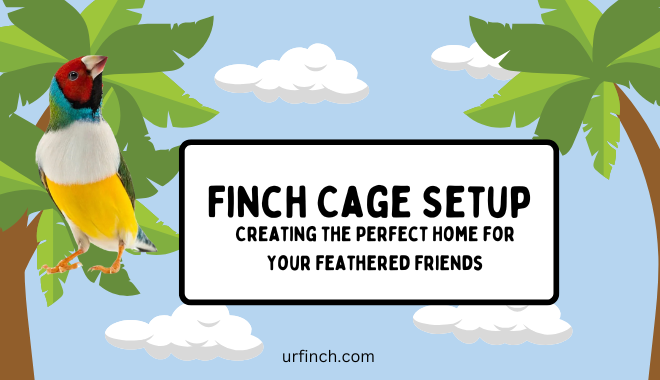 Finch Cage Setup