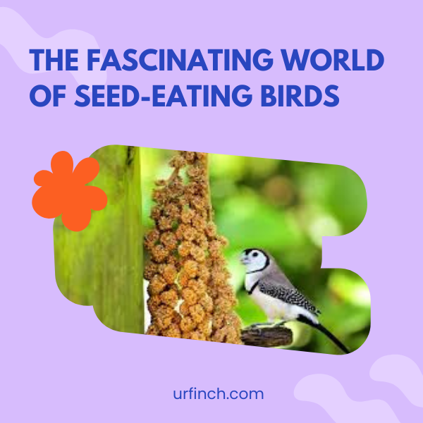 The Fascinating World of Seed-Eating Birds