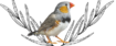 Urfinch